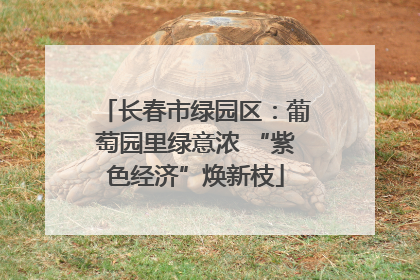 长春市绿园区：葡萄园里绿意浓 “紫色经济”焕新枝