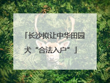 长沙拟让中华田园犬“合法入户”