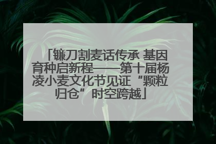 镰刀割麦话传承 基因育种启新程——第十届杨凌小麦文化节见证“颗粒归仓”时空跨越