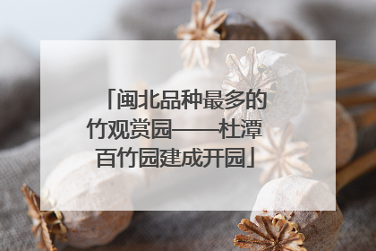 闽北品种最多的竹观赏园——杜潭百竹园建成开园