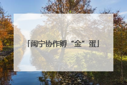 闽宁协作孵“金”蛋