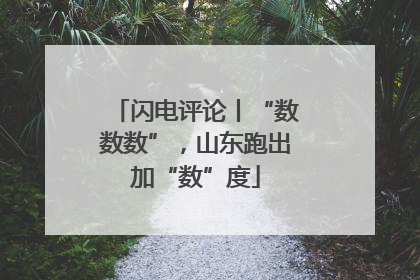 闪电评论丨“数数数”，山东跑出加“数”度