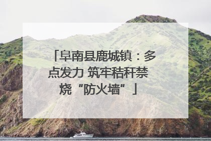 阜南县鹿城镇：多点发力 筑牢秸秆禁烧“防火墙”