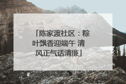 陈家渡社区：粽叶飘香迎端午 清风正气话清廉