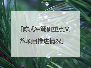陈武军调研重点文旅项目推进情况