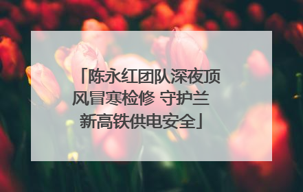 陈永红团队深夜顶风冒寒检修 守护兰新高铁供电安全
