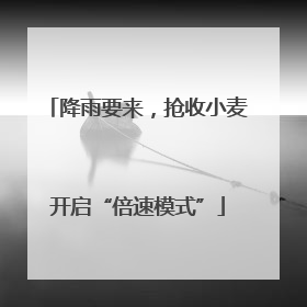 降雨要来，抢收小麦开启“倍速模式”
