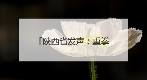 陕西省发声：重拳出击、高压震慑