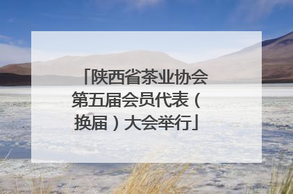 陕西省茶业协会第五届会员代表（换届）大会举行