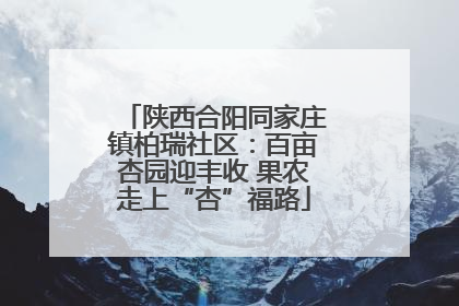 陕西合阳同家庄镇柏瑞社区：百亩杏园迎丰收 果农走上“杏”福路
