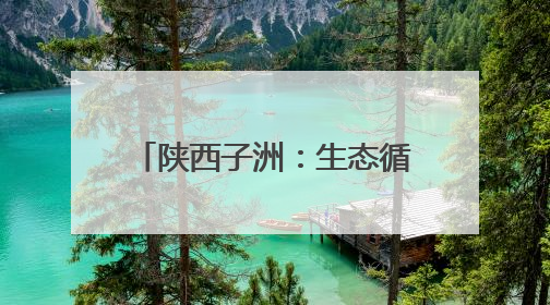 陕西子洲：生态循环赋能全产业链 小理河合作社走出联农带农新路径