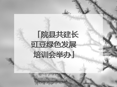 院县共建长豇豆绿色发展培训会举办