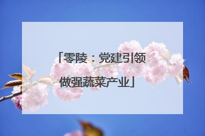 零陵：党建引领 做强蔬菜产业