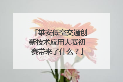 雄安低空交通创新技术应用大赛初赛带来了什么？