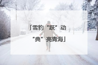 雪豹“跃”动 “典”亮青海