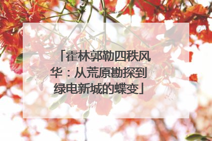 霍林郭勒四秩风华：从荒原勘探到绿电新城的蝶变
