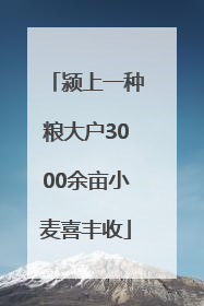 颍上一种粮大户3000余亩小麦喜丰收