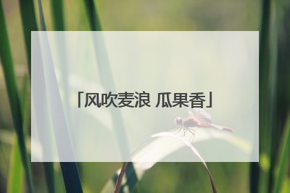 风吹麦浪 瓜果香
