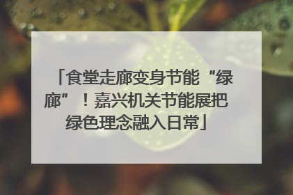 食堂走廊变身节能“绿廊”！嘉兴机关节能展把绿色理念融入日常