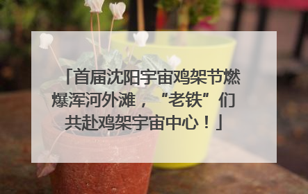 首届沈阳宇宙鸡架节燃爆浑河外滩，“老铁”们共赴鸡架宇宙中心！