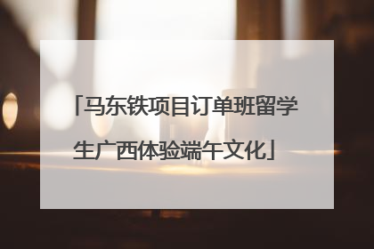 马东铁项目订单班留学生广西体验端午文化