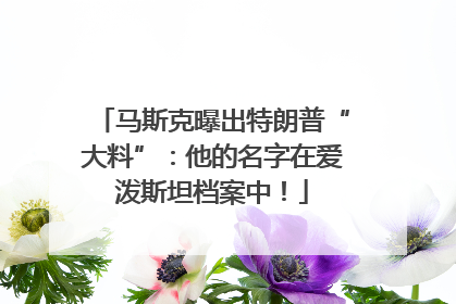 马斯克曝出特朗普“大料”：他的名字在爱泼斯坦档案中！