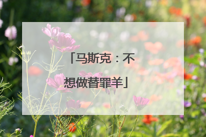 马斯克：不想做替罪羊