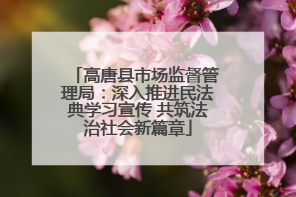 高唐县市场监督管理局：深入推进民法典学习宣传 共筑法治社会新篇章