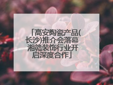 高安陶瓷产品(长沙)推介会落幕 湘赣装饰行业开启深度合作