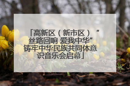 高新区（新市区）“丝路回响 爱我中华”铸牢中华民族共同体意识音乐会启幕