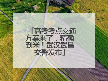 高考考点交通方案来了，精确到米！武汉武昌交警发布