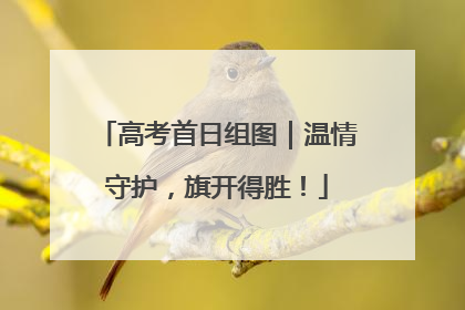 高考首日组图｜温情守护，旗开得胜！