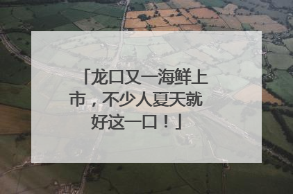 龙口又一海鲜上市，不少人夏天就好这一口！