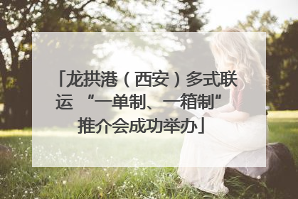 龙拱港（西安）多式联运 “一单制、一箱制” 推介会成功举办