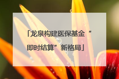 龙泉构建医保基金“即时结算”新格局
