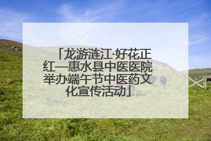 龙游涟江·好花正红—惠水县中医医院举办端午节中医药文化宣传活动