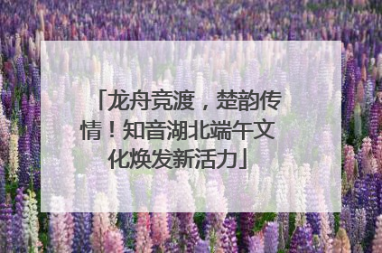 龙舟竞渡，楚韵传情！知音湖北端午文化焕发新活力