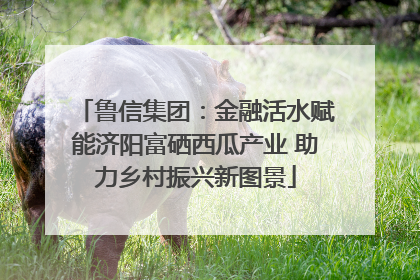 鲁信集团：金融活水赋能济阳富硒西瓜产业 助力乡村振兴新图景