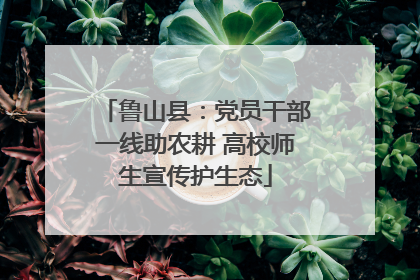 鲁山县：党员干部一线助农耕 高校师生宣传护生态