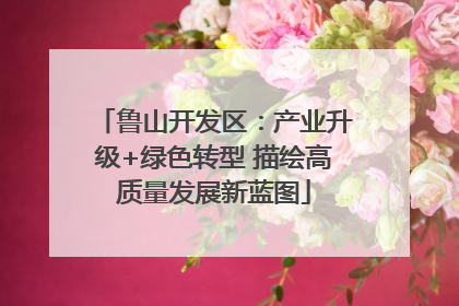 鲁山开发区：产业升级+绿色转型 描绘高质量发展新蓝图