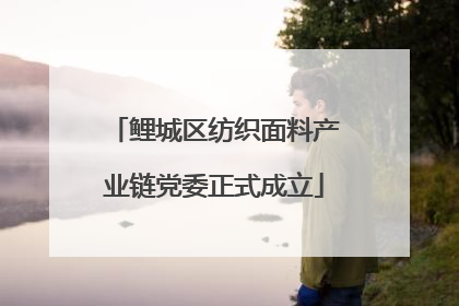鲤城区纺织面料产业链党委正式成立