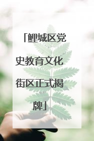 鲤城区党史教育文化街区正式揭牌
