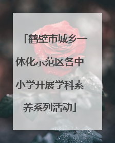 鹤壁市城乡一体化示范区各中小学开展学科素养系列活动