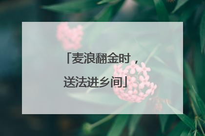 麦浪翻金时，送法进乡间