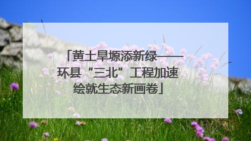 黄土旱塬添新绿——环县“三北”工程加速绘就生态新画卷