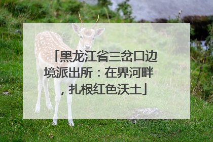 黑龙江省三岔口边境派出所：在界河畔，扎根红色沃土