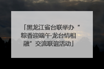 黑龙江省台联举办“粽香迎端午·龙台情相融”交流联谊活动