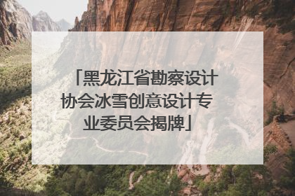 黑龙江省勘察设计协会冰雪创意设计专业委员会揭牌