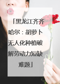 黑龙江齐齐哈尔：胡萝卜无人化种植破解劳动力短缺难题