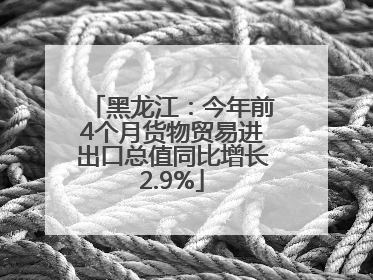 黑龙江：今年前4个月货物贸易进出口总值同比增长2.9%